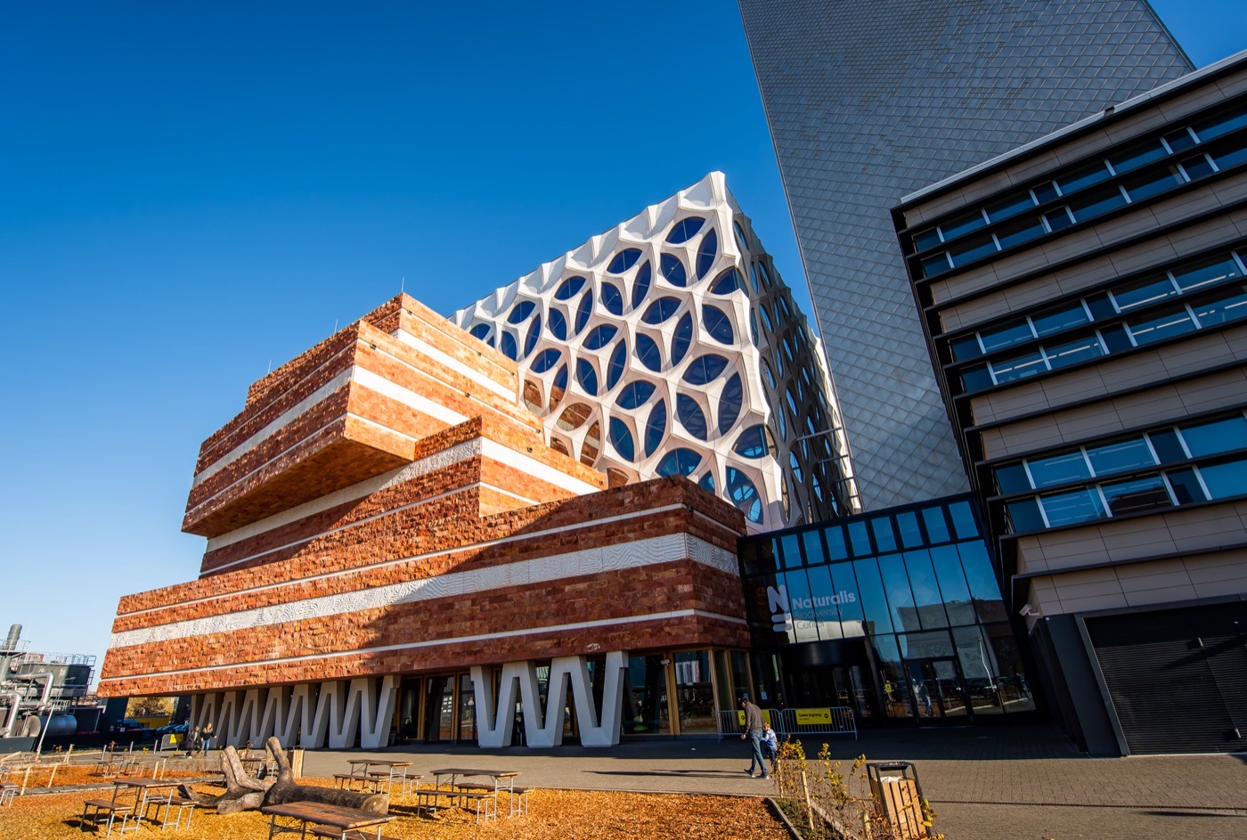 Naturalis Biodiversity Center — Natural History in Leiden, Netherlands
